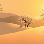 Oración y el descanso: El Sabbath como espacio de conexión