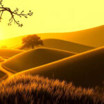 La Parábola del Hijo Menor: Arrepentimiento y Gracia