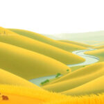 El sistema de pesos y medidas agrícolas en la antigüedad