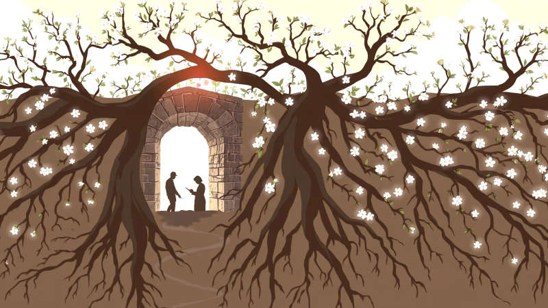 Armonía natural y humana en calma