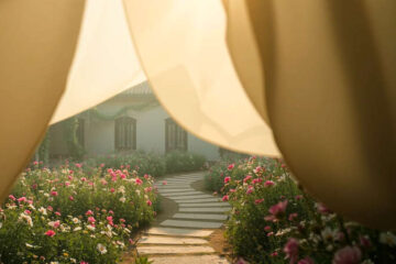 Serena contemplación en armonía natural