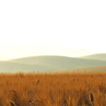 María, modelo de fe en tiempos de crisis