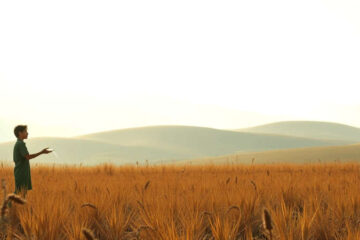 Esperanza silenciosa en un paisaje árido