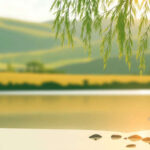 El Espíritu Santo y la Santificación: El Proceso Continuo