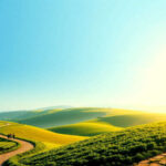 Análisis de la estructura argumentativa de la Carta a los Romanos