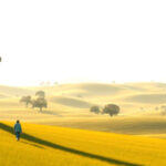 El canon bíblico ortodoxo: su composición única