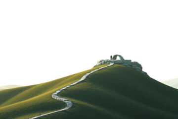 Paz y camino hacia la luz