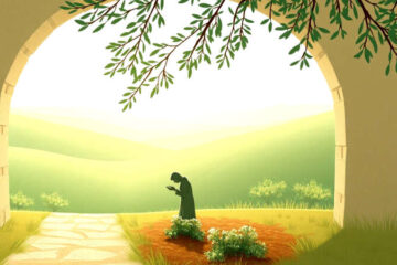 Paz serena en un paisaje natural