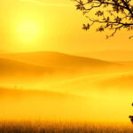 Personificación en el libro de Job: emociones y divinidad