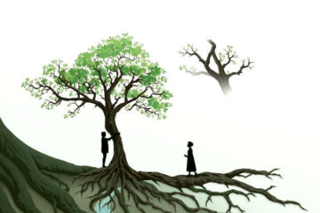 Árboles conectados evocan serenidad y crecimiento